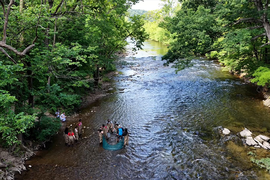 students at the river