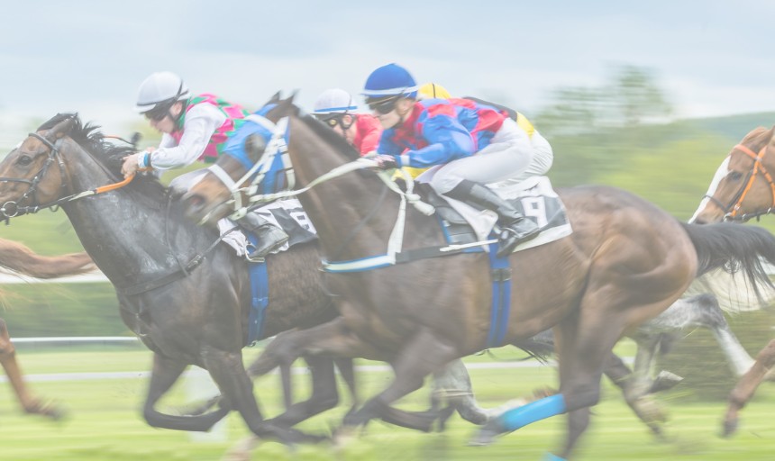 An image of a horse race