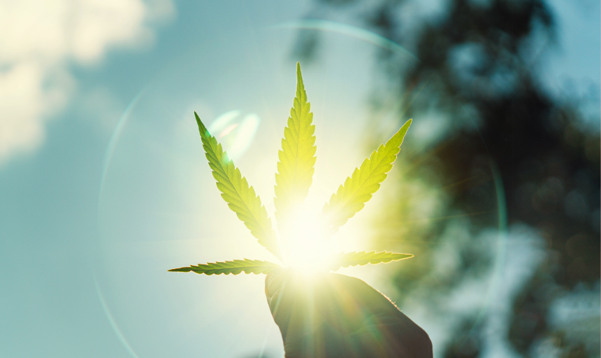 Cannabis and Longevityevent image