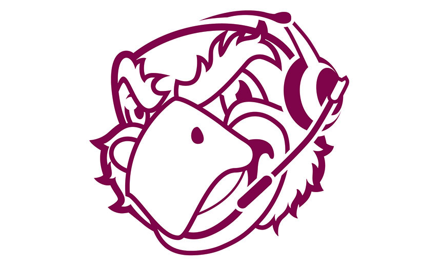 drawing of Rooney mascot with headset