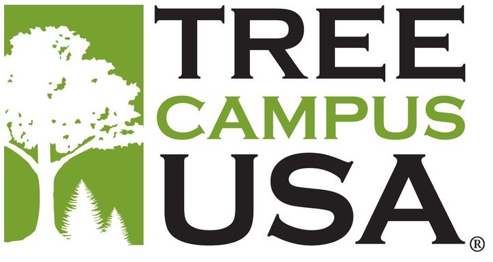 tree campus usa logo