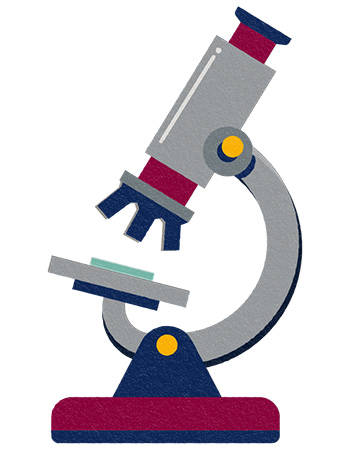 Illustration of a microscope