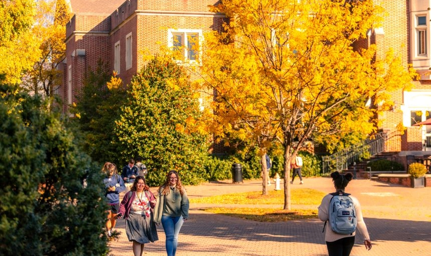 Students walk across campus with a beautiful yellow tree in fall color in the background. 